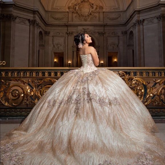 Quinceañera Dress - Picture 2 of 8